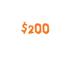 Donate $200